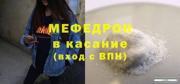 индика Богданович
