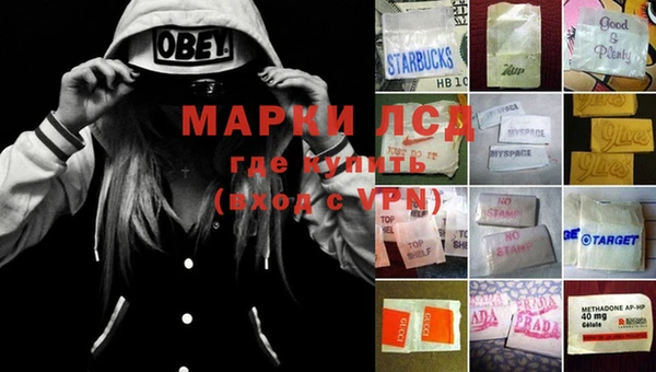 ALPHA PVP Верея