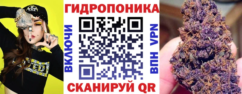 Канабис White Widow  что такое наркотик  площадка как зайти  Ворсма 